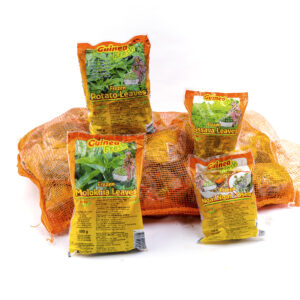 DD-20220725_GuineaFresh-JoniIsraeli-052-ER5_8857